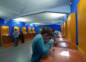 museu micromundi