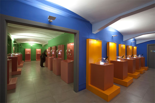 museo micromundi