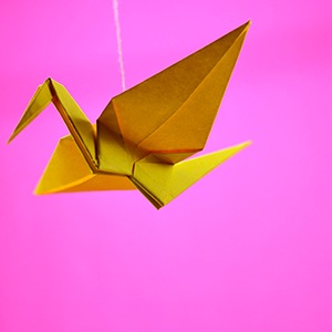 imatge de CIA. CALIDOSCOPI > Origamis