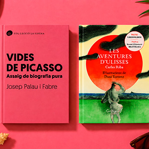 imatge de Win a book! To read on holidays… or any time!
